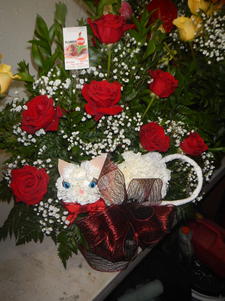 Carnation Cat and Roses